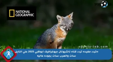 «تردد مفيد» تردد قناة ناشيونال جيوغرافيك أبوظبي 2025 على النايل سات والعرب سات بجودة عالية